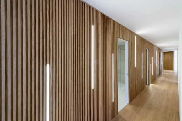 Proyecto de Carmela Moneo